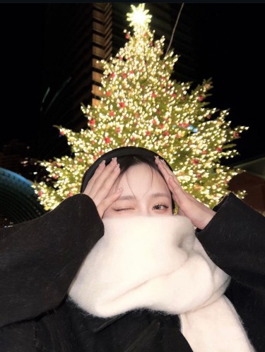 christmas tree-shining-1