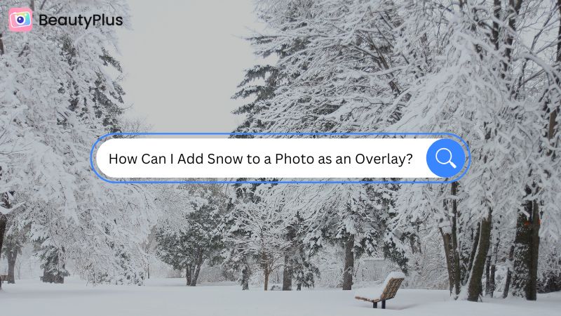 How Can I Add Snow to a Photo as an Overlay - cover