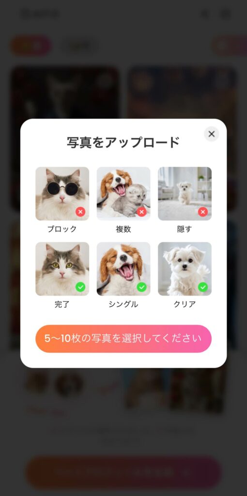 ペット加工アプリ-pet portrait app-requirements on photos
