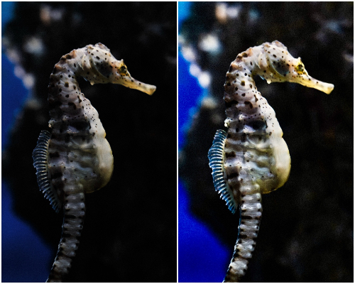 写真の暗い部分を明るくする方法
