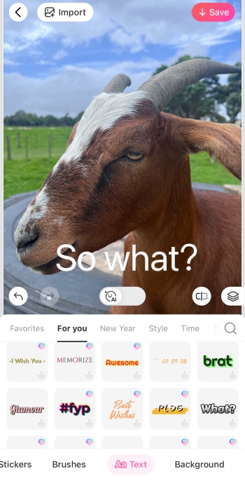 add text to image