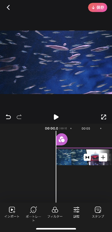 写真だけでなく動画編集も可能