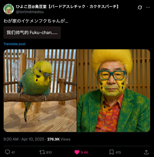 ai pet x screenshot-bird