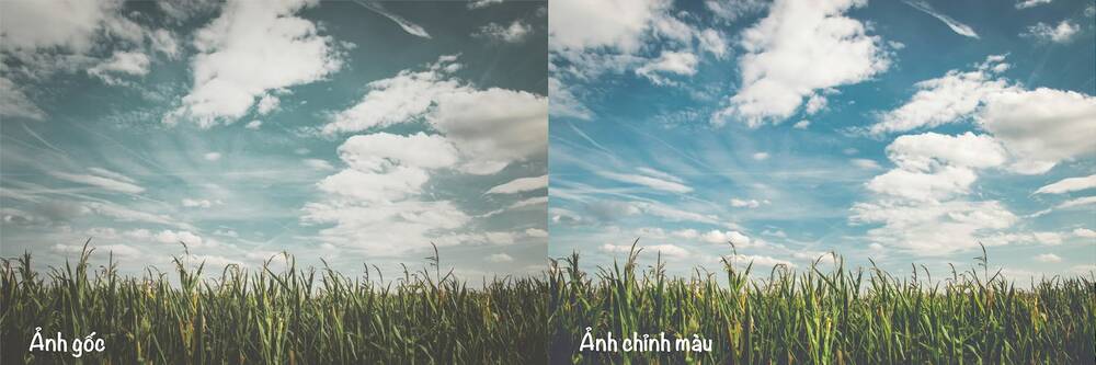 iPhone-Tông màu, sáng trong trẻo