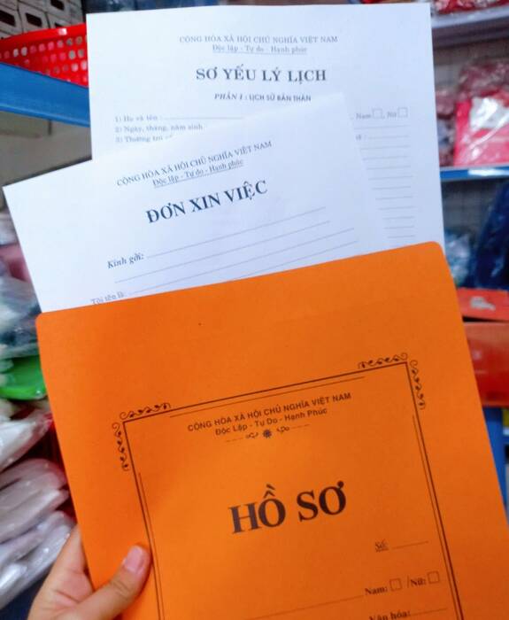 Hồ sơ phỏng vấn, lý lịch