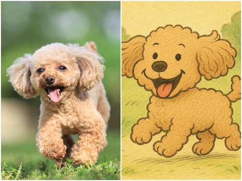 犬のビフォアフ画像