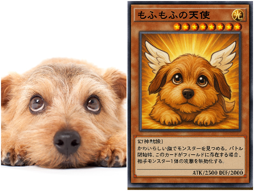 遊戯王風カードの比較画像