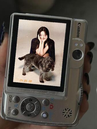デジタルカメラテンプレート