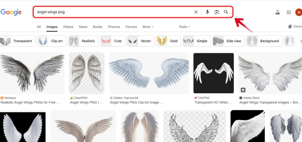 How to Add Angel Wings - Complex Way - step4