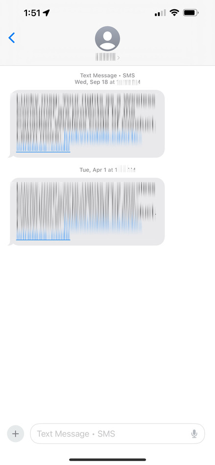 blur text on iphone-result 02