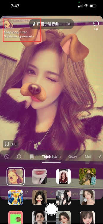 filter con chó-Chọn filter ưa thích và hô biến!