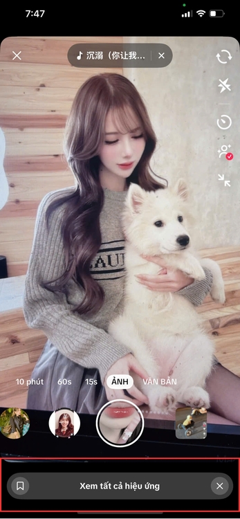 filter con chó-Chọn ô “Xem tất cả hiệu ứng”