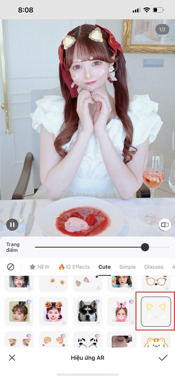 filter con chó-Chọn filter ưa thích