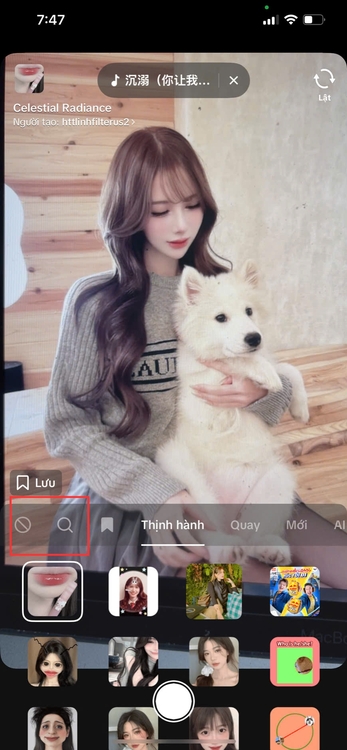 filter con chó-Gõ từ khoá tìm kiếm “dog” 01