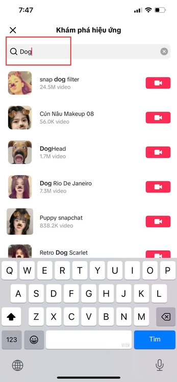 filter con chó-Gõ từ khoá tìm kiếm “dog” 02