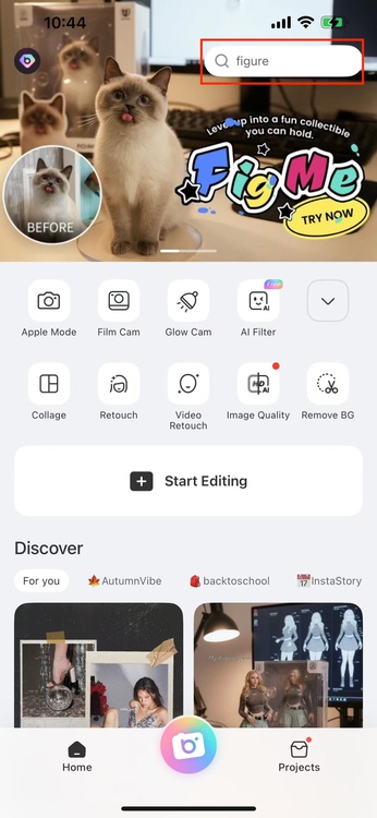 Charlie and Lola Trend-search bar