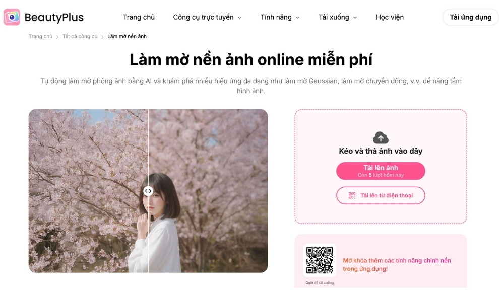 cách làm mờ nền ảnh-BeautyPlus - Công cụ làm mờ nền web