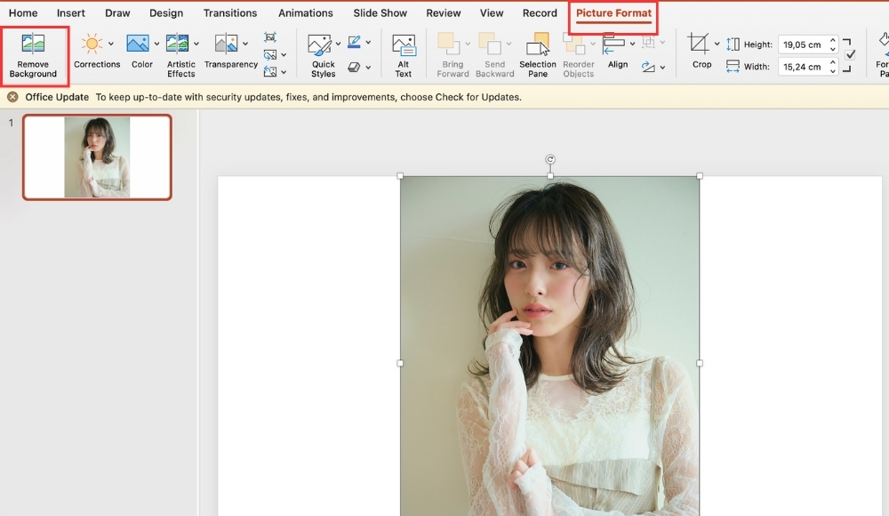 cách xóa nền ảnh-PowerPoint cũng có thể nhận dạng và xóa nền hình ảnh 01