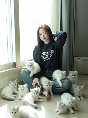 子猫の画像を作成-その後