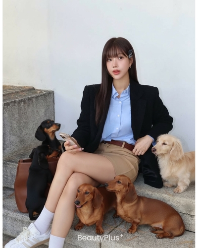 beautyplus-afterで子犬のトレンド画像を作成