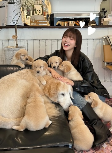 ジェミニアフターで子犬トレンドを創出