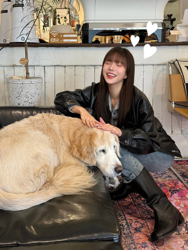 ジェミニビフォーで子犬のトレンドを作ろう