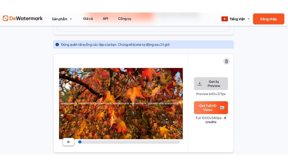 cách xóa logo trong video-DeWatermark-xem trước 5 giây miễn phí