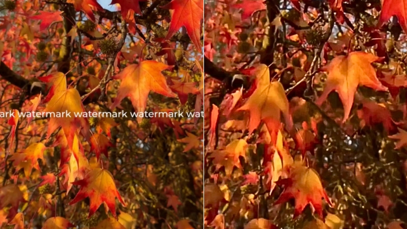 Cách xóa logo trong video giúp video của bạn chuyên nghiệp và tinh tế hơn