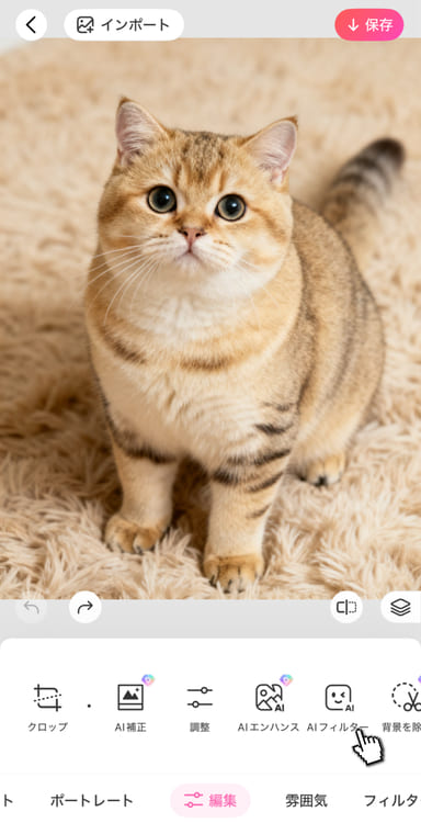 BeautyPlusアプリを使ってキノコ猫の画像を編集する方法 - ステップ1