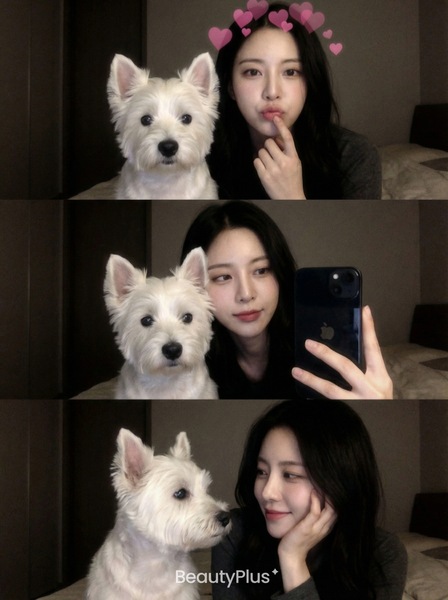 MacBookのペット写真