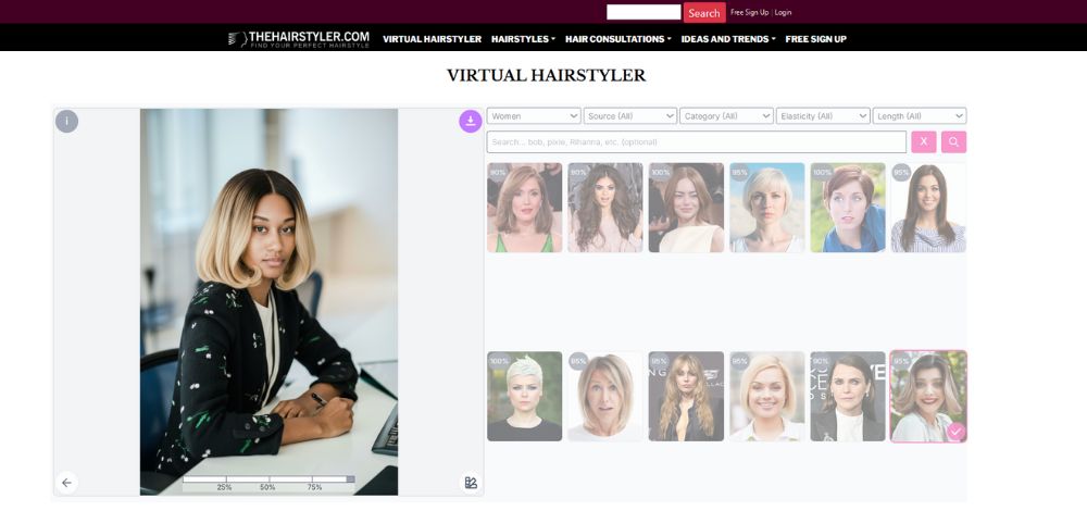 THEHAIRSTYLER - interface