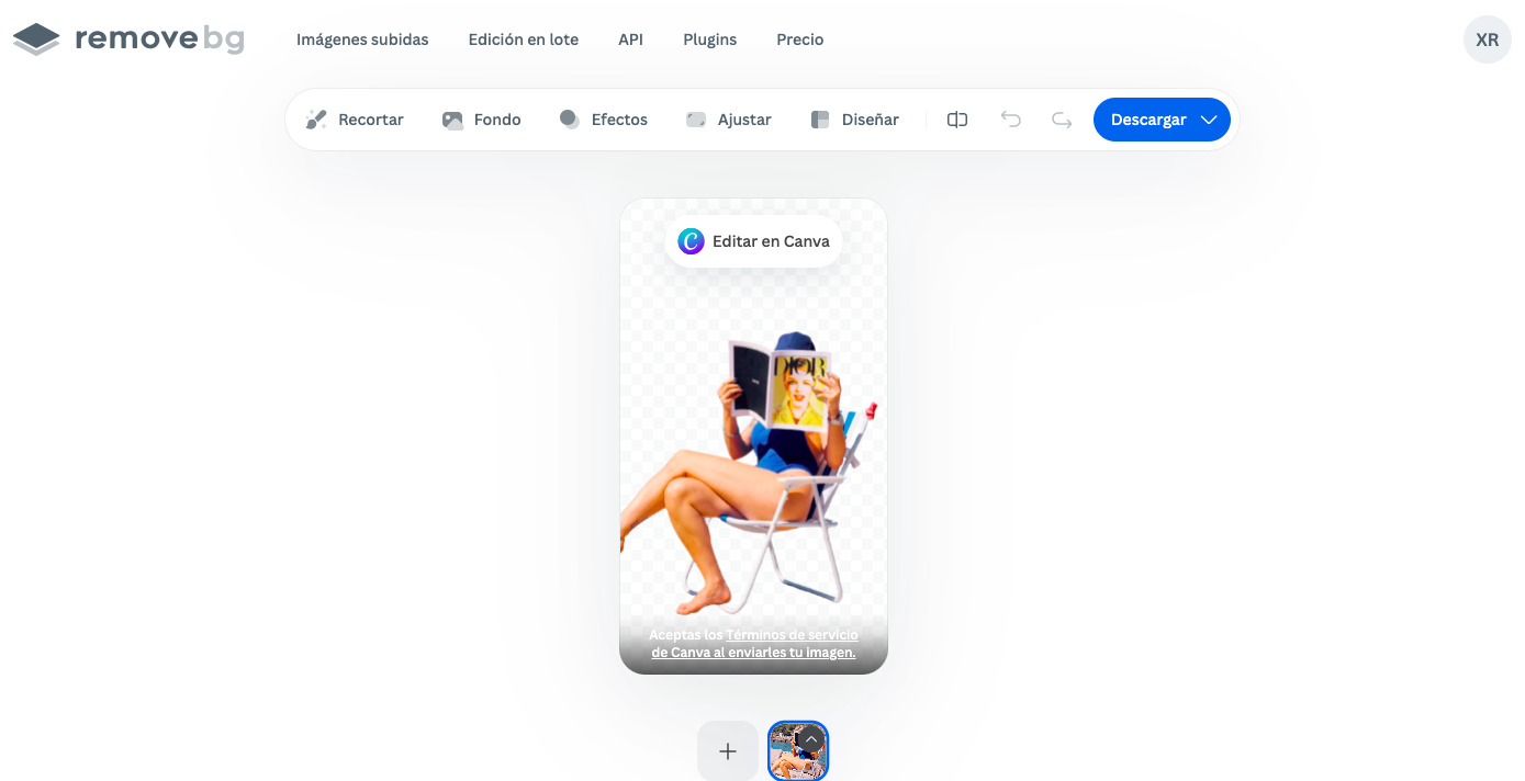 Online-tool-to-change-photo-backgrounds-Remove.bg