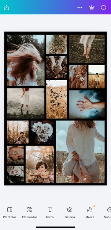 app para hacer collage de fotos gratis -Canva