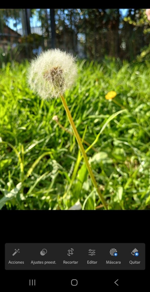 la mejor app para editar fotos gratis -Lightroom Mobile