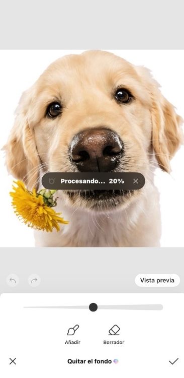 Cómo hacer stickers en una aplicación 04
