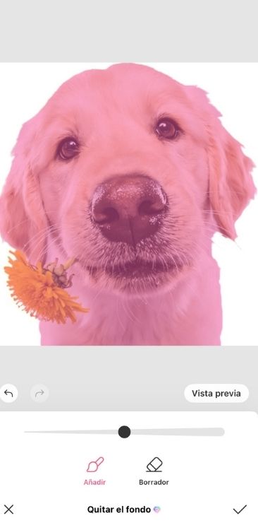 Cómo hacer stickers en una aplicación 05