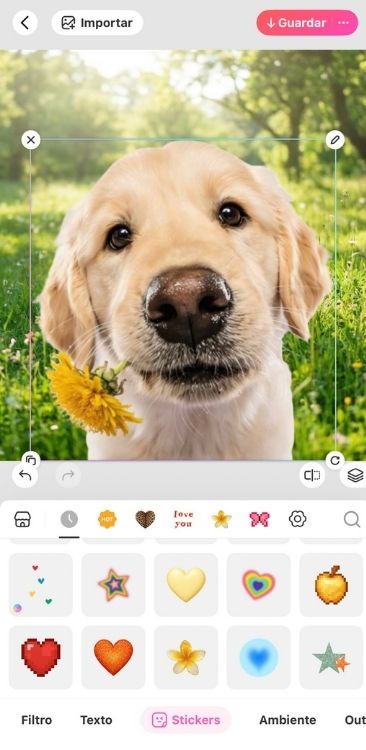 Cómo hacer stickers en una aplicación 06