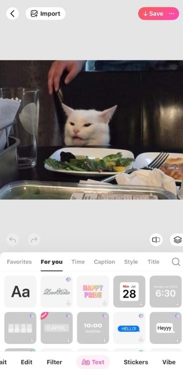 how-to-make-a-meme-on-beautyplus-step-3
