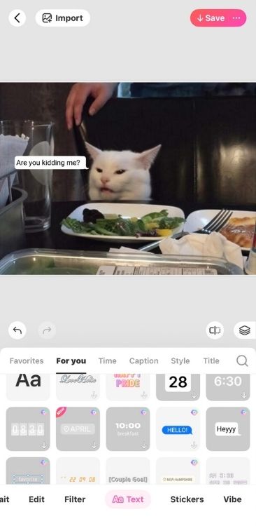 how-to-make-a-meme-on-beautyplus-step-5