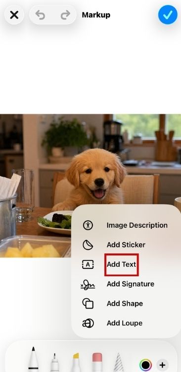 how-to-make-a-meme-on-iphone-step-3