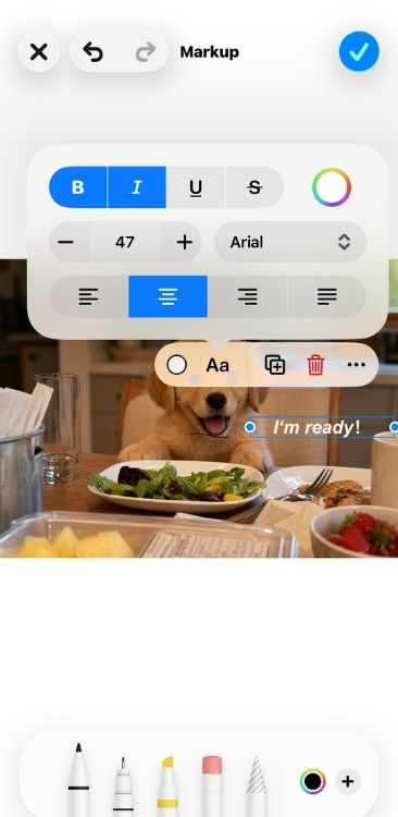how-to-make-a-meme-on-iphone-step-4