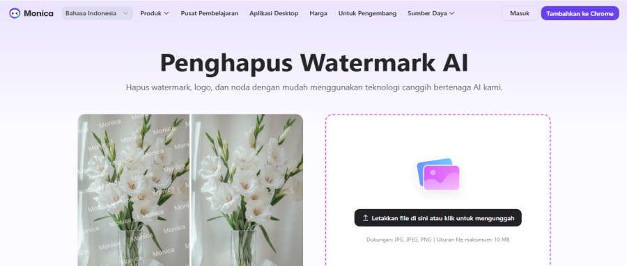 Menghilangkan Watermark Foto-Monica AI