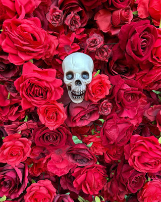 halloween photo booth ideas09-skull rose background